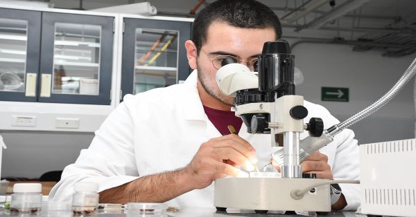 Hay en CU2 un campus de formación en tecnologías de alta especialidad