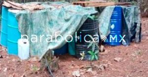Aseguran Fuerzas federales cinco narcolaboratorios clandestinos en Michoacán
