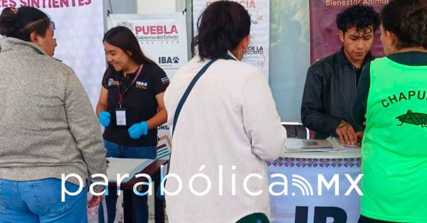 Impulsa IBA protecci&oacute;n y bienestar animal en Puebla