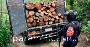 Aseguran hornos clandestinos de madera en el parque nacional La Malinche
