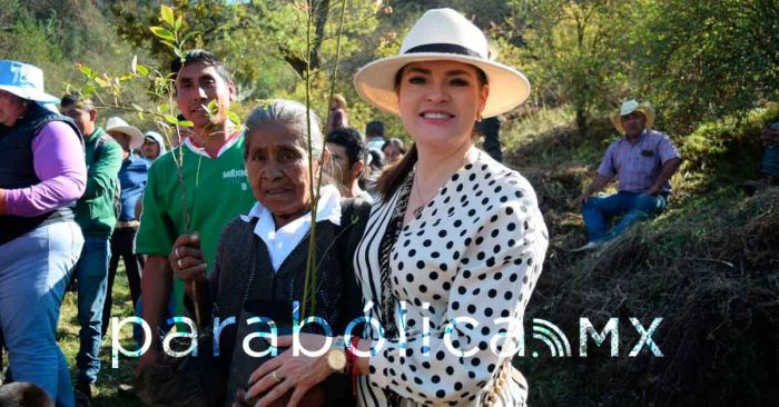 Se impulsan proyectos en favor del medio ambiente en Zacatlán: Bety Sánchez