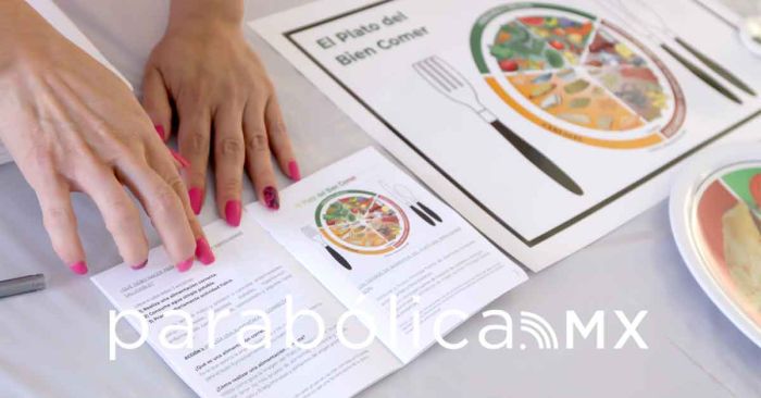 Alerta IMSS por los peligros de la acumulación de grasa en el hígado