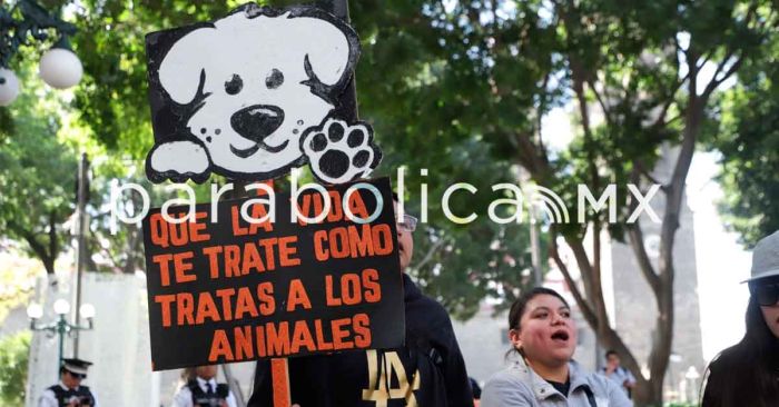 Marchan animalistas por las calles de Puebla