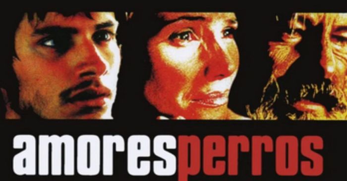 Exhibir&aacute;n restauraci&oacute;n 4K de &ldquo;Amores Perros&rdquo; en la Cineteca Nacional