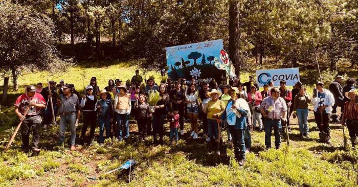 Participan familias de Zacatl&aacute;n en reforestaci&oacute;n 2025