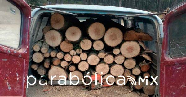 Aseguran m&aacute;s de 70 troncos de madera en Operativo Interestatal Puebla&ndash;Tlaxcala