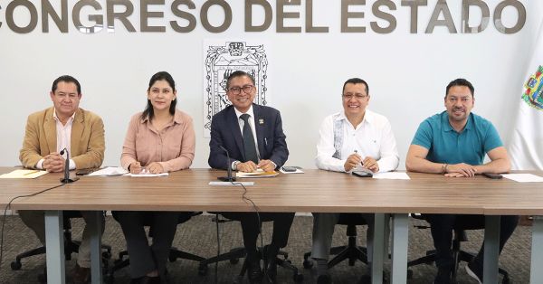 Avalan en Comisi&oacute;n reforma para transferir semanas de licencia de maternidad en caso de parto anticipado