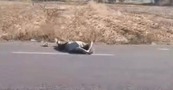 Reportan a hombre inconsciente en carretera de Iz&uacute;car de Matamoros