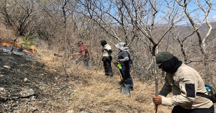 Sofocan incendio en Cerro de Tacoma en Jolalpan