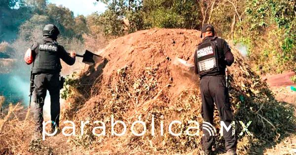 Elimina Polic&iacute;a Forestal seis hornos clandestinos para madera en San Nicol&aacute;s de los Ranchos