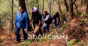 Fortalece Lupita Vargas trabajo en equipo para impulsar el desarrollo de la Sierra Norte
