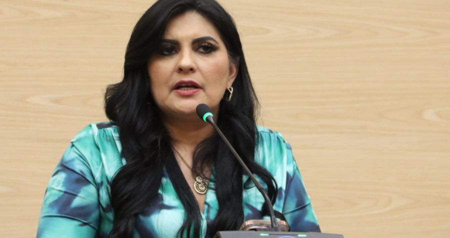 Presenta Delfina Pozos iniciativa para fortalecer la transparencia, pluralidad y responsabilidad en la toma de decisiones