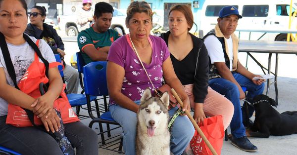 Impulsa Pepe Chedraui jornadas de bienestar animal en distintas colonias de Puebla