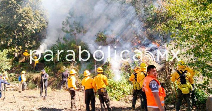 Alinean acciones preventivas contra incentivo indios en Serd&aacute;n, Tlachichuca y Atzitzintla: PC
