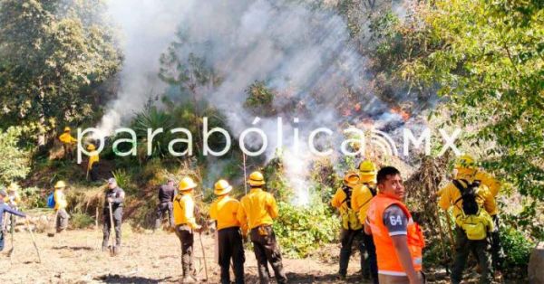 Alinean acciones preventivas contra incentivo indios en Serd&aacute;n, Tlachichuca y Atzitzintla: PC