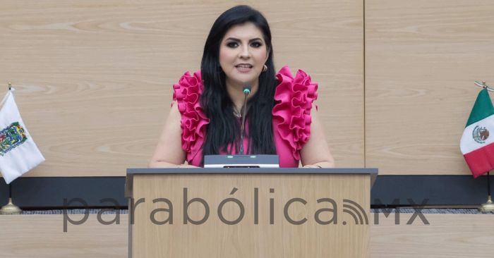 Presenta Delfina Pozos iniciativa para proteger a quienes denuncian desapariciones "de buena fe"