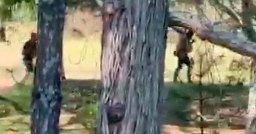 Sin certeza de la cadena de custodia de presuntas narcon&oacute;minas de "El Mencho": FGR