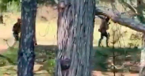 Sin certeza de la cadena de custodia de presuntas narcon&oacute;minas de "El Mencho": FGR