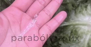 Amanecen municipios de Puebla cubiertos de hielo por bajas temperatura