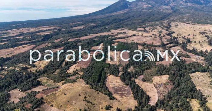 Descarta Armenta construcci&oacute;n de vivienda en el Ecoparque La Malinche