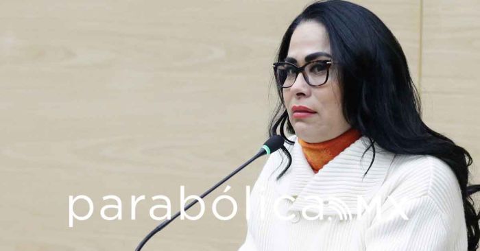 Puede inhibir denuncias iniciativa&nbsp;sobre simulaci&oacute;n de desapariciones: Fedrha Suriano