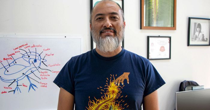 Llama Ibero Puebla a preservar los parques Ju&aacute;rez y Ecol&oacute;gico ante proyecto de cableb&uacute;s