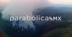 Refuerzan combate el incendio forestal en la Sierra Negra de Puebla