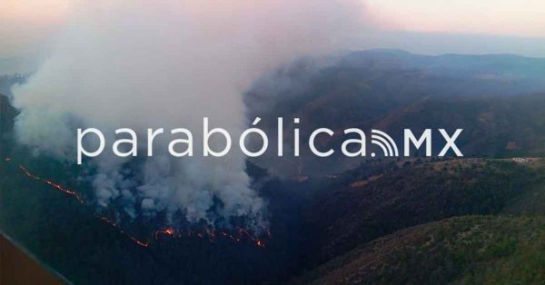 Refuerzan combate el incendio forestal en la Sierra Negra de Puebla