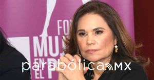 Rompe Blanca Alcal&aacute; 40 a&ntilde;os de militancia en el PRI