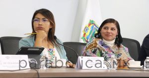 Promover estancias que integren animales de compa&ntilde;&iacute;a y su uso terap&eacute;utico, aprueba Comisi&oacute;n del Congreso