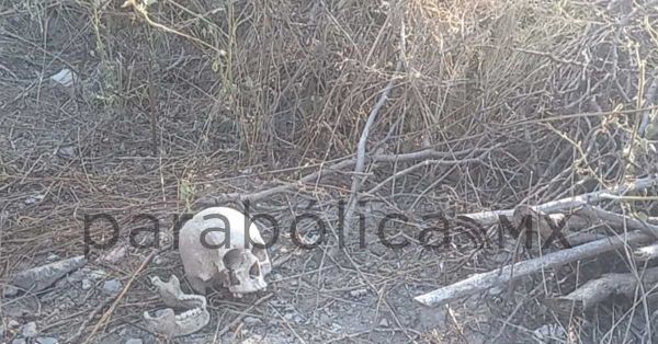 Encuentran restos &oacute;seos en Rinc&oacute;n de las Doncellas, Tehuac&aacute;n