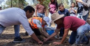 Refuerza gobierno de Pepe Chedraui acciones de reforestaci&oacute;n en la capital poblana