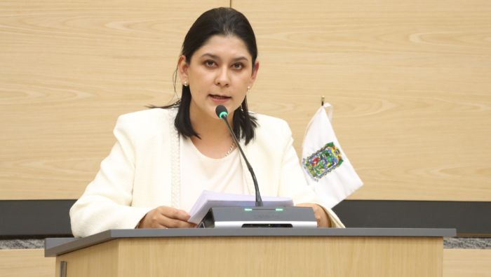 Reconocer la rapi&ntilde;a como delito, propone la diputada Ana Lilia Tepole