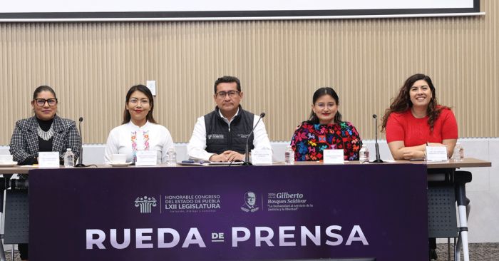 Promueve Xel Arianna Hern&aacute;ndez elevar sanciones contra el abuso sexual