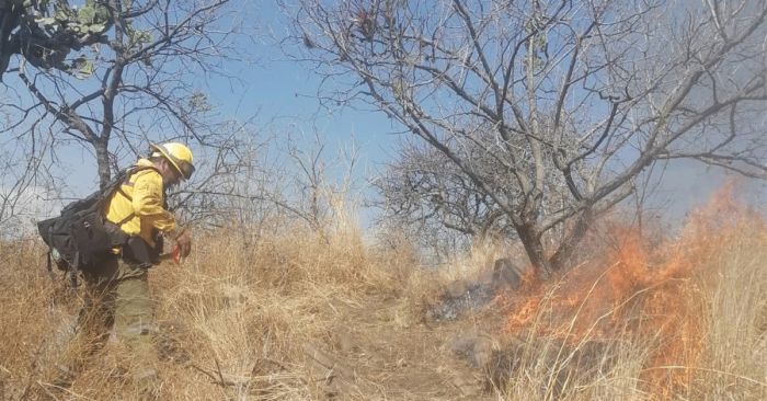 Liquidan al 100% incendio en Atlixco; afect&oacute; 4 hect&aacute;reas