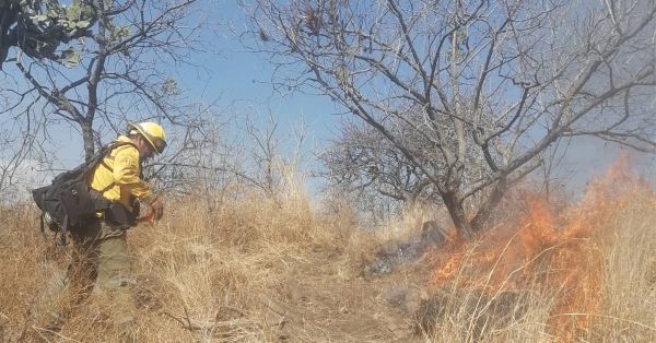 Liquidan al 100% incendio en Atlixco; afect&oacute; 4 hect&aacute;reas