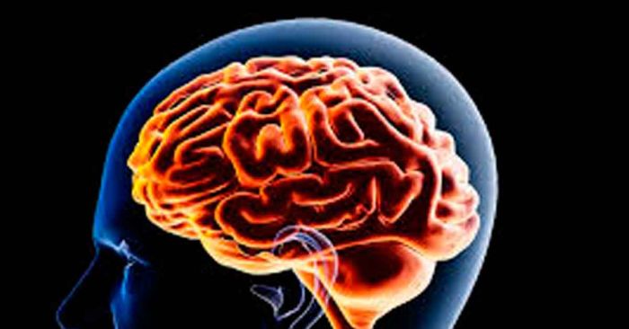 Ver de manera r&aacute;pida lo digital afecta la memoria