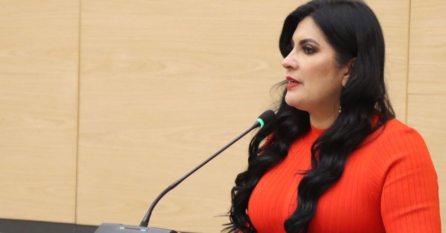 Buscan fortalecer la independencia econ&oacute;mica de las mujeres &nbsp;