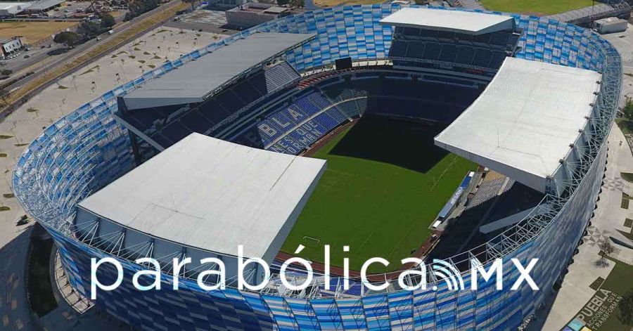 B&uacute;falo del &aacute;rea